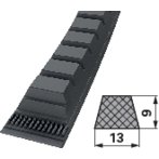 XPA 13